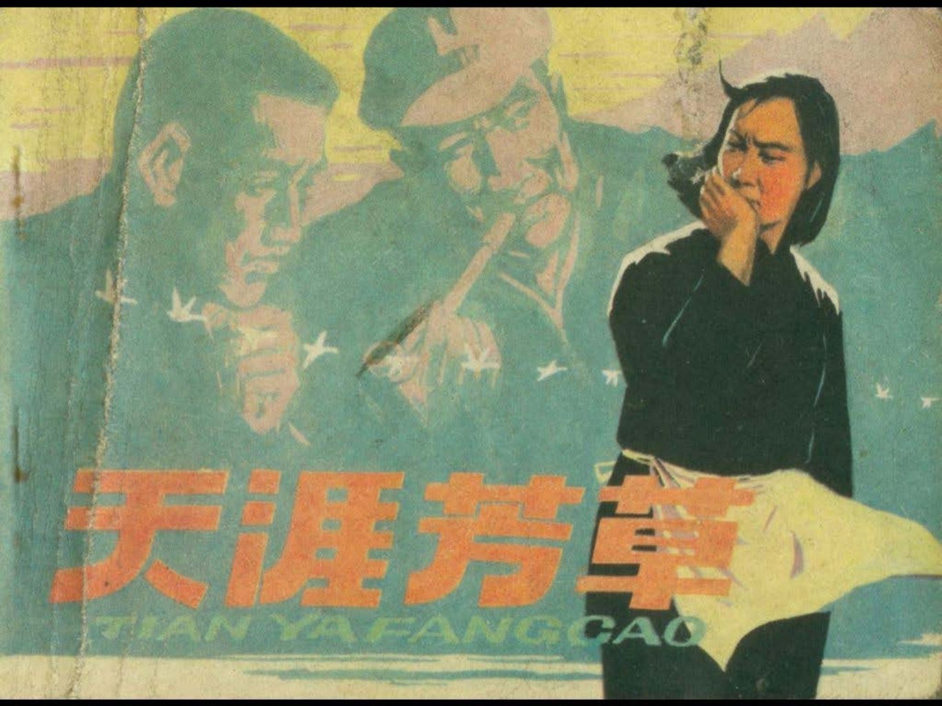 天涯芳草 根据侯钰鑫同名小说胡斌编绘