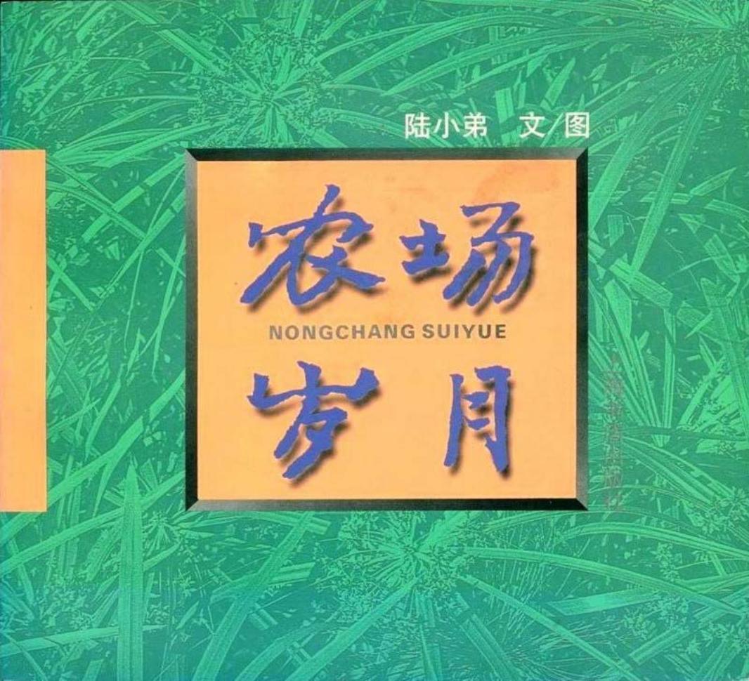 农场岁月