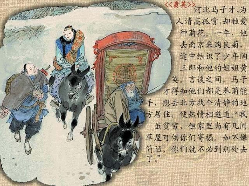 彩绘聊斋系列《黄英》