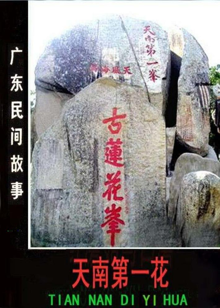 17天南第一花