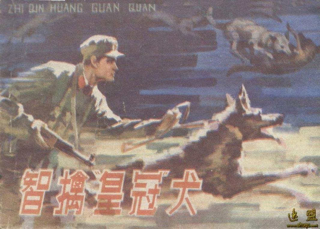刑侦反特故事-智擒皇冠犬