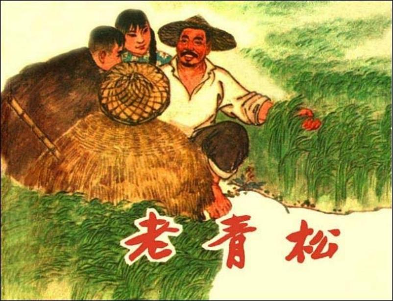 《老青松》