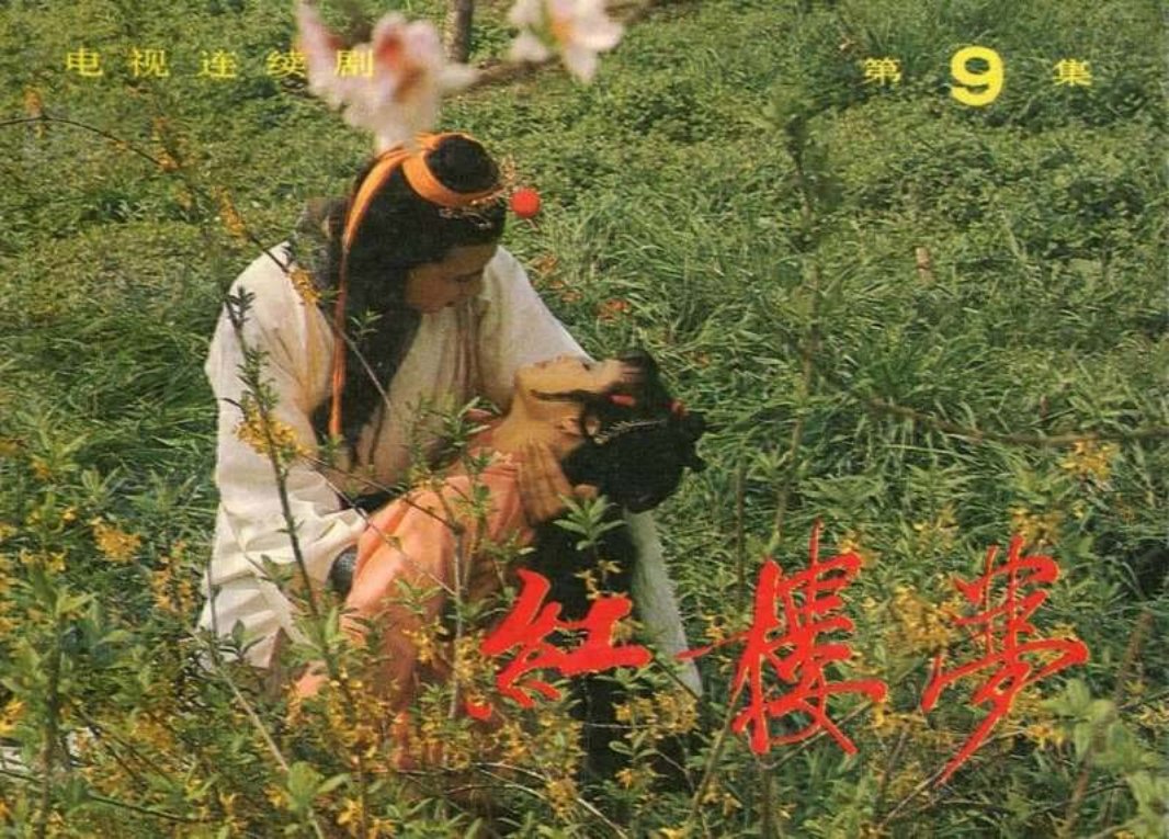红楼梦_09