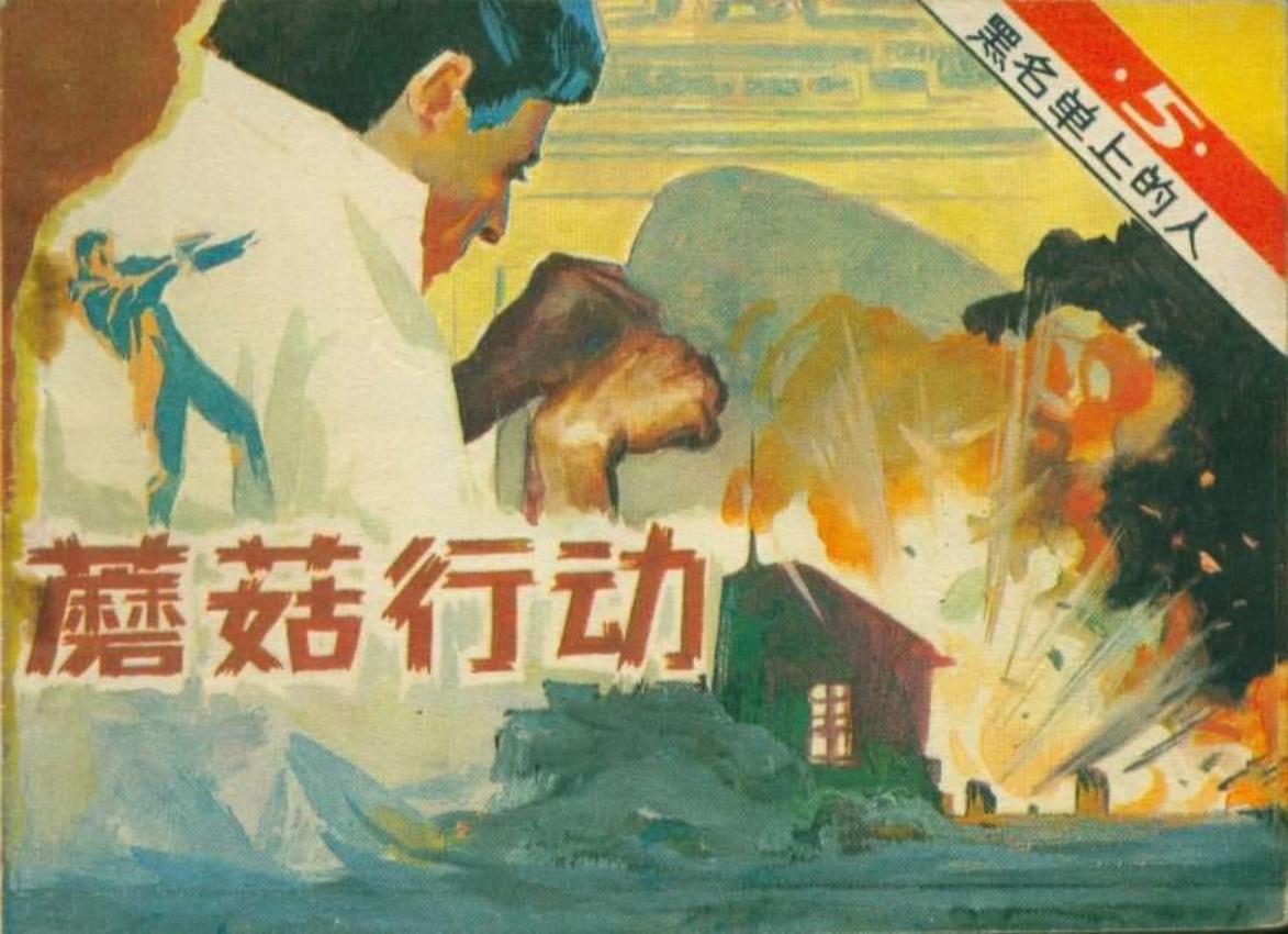 黑名单上的人（13-5）蘑菇行动