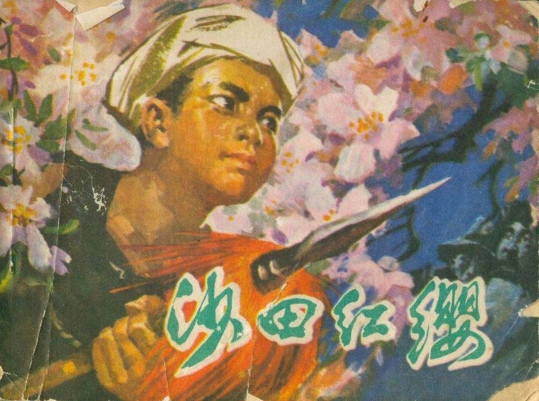沙田红缨-湖南 钟增亚