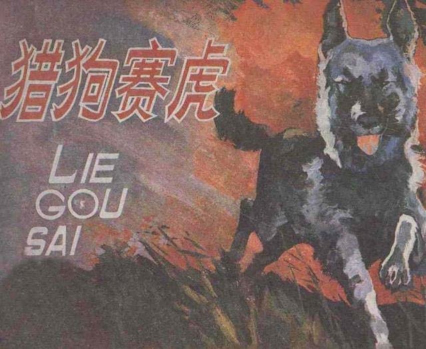 《猎狗赛虎》湖南少年儿童出版社 胡
