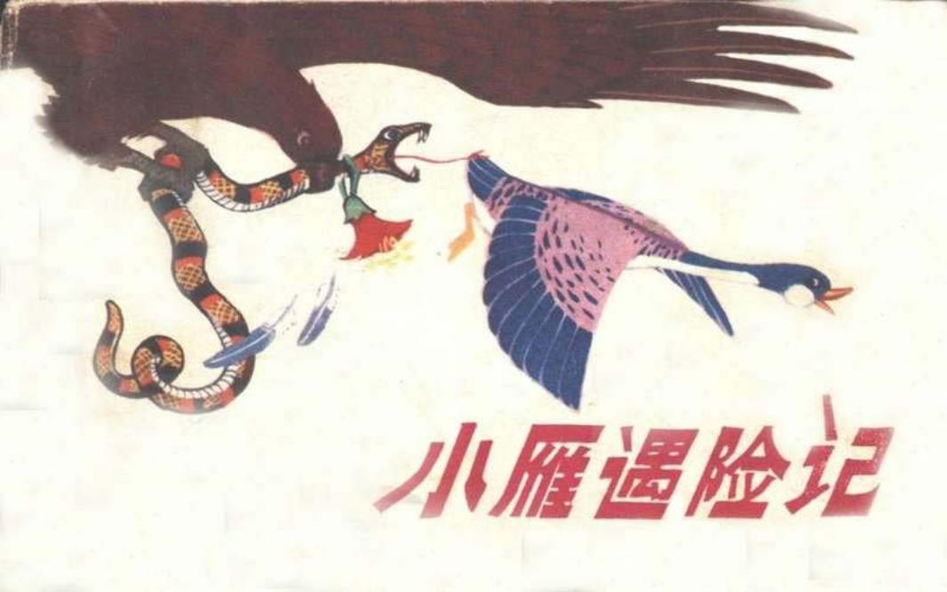 小雁遇险记