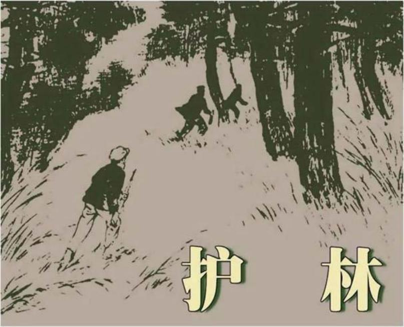 《护林》