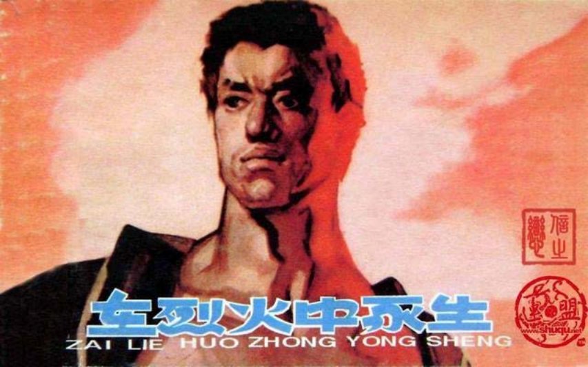《在烈火中永生》邵伟尧 天津人民美术出版社