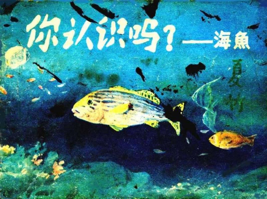 海鱼