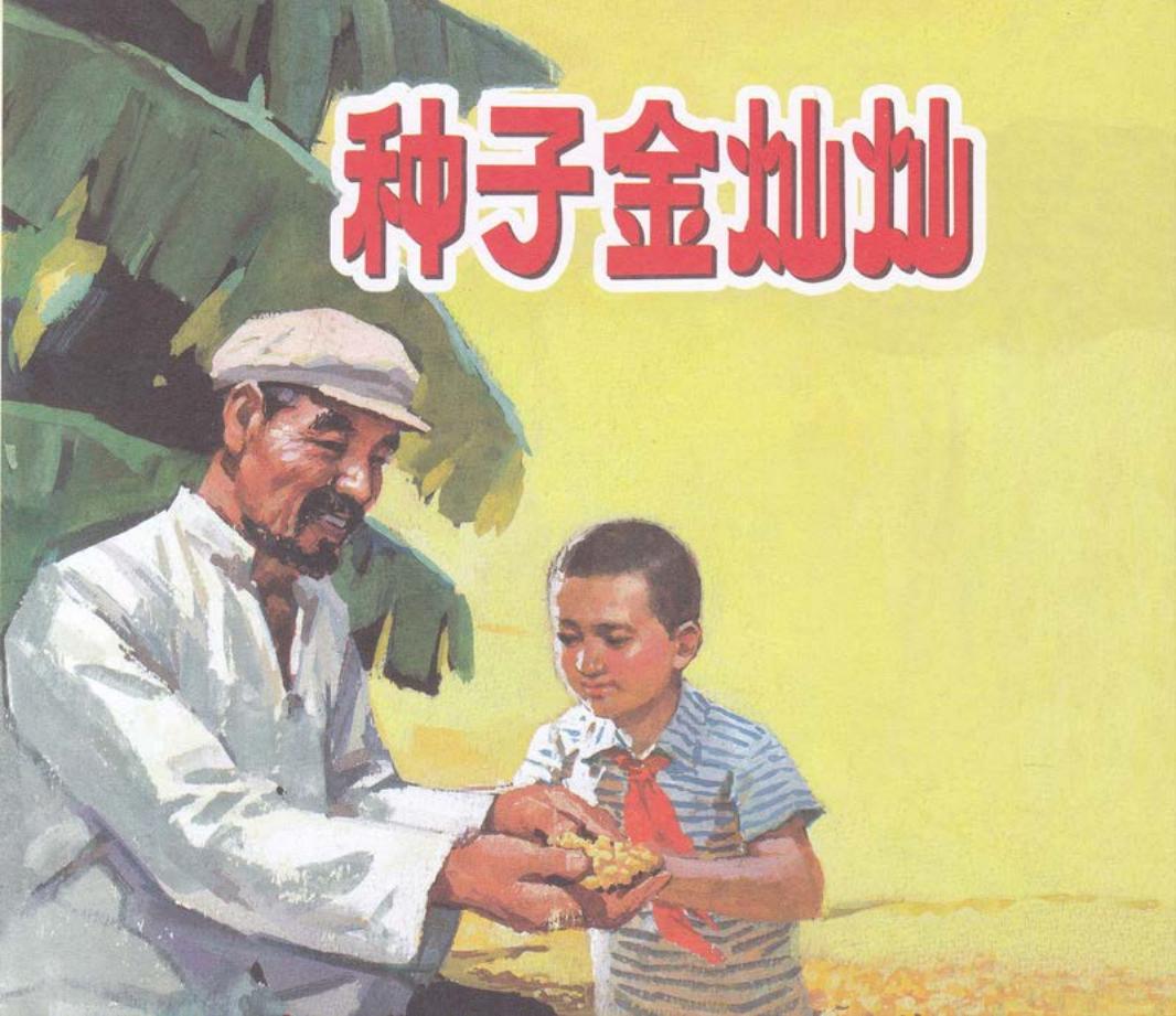彩绘连环画-种子金灿灿 沈尧定
