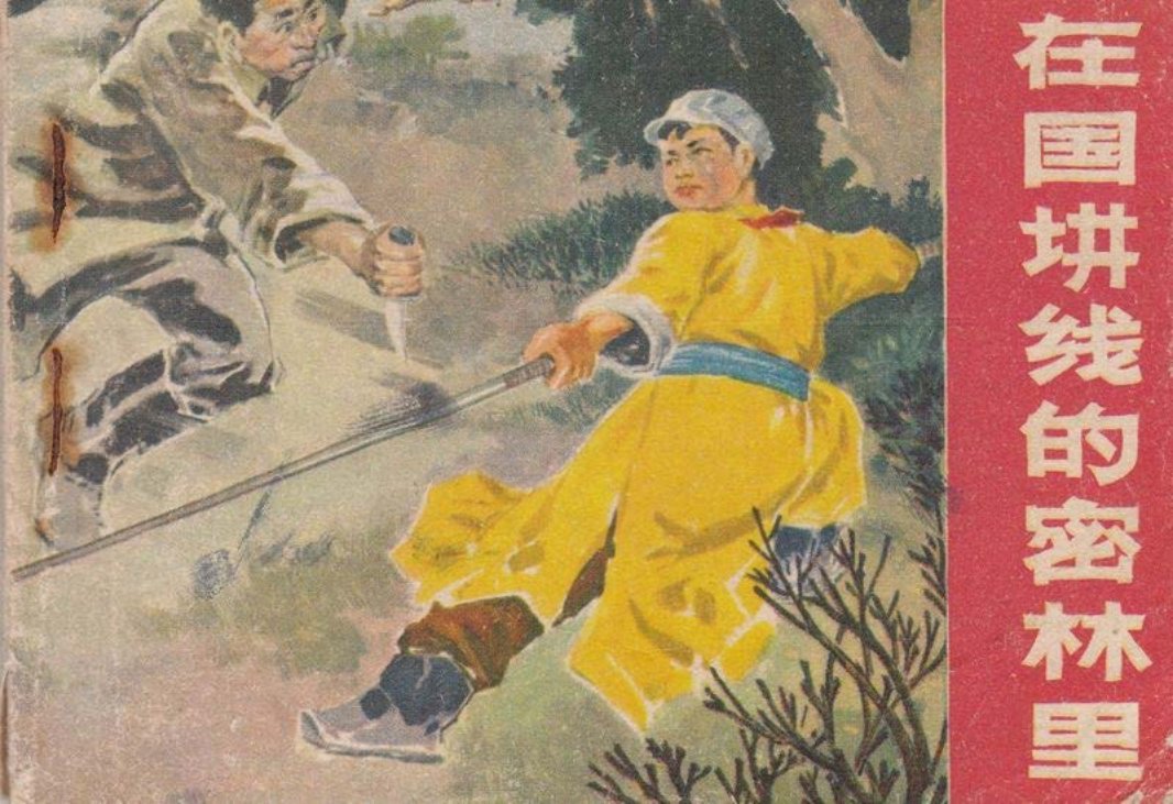 在国境线的密林里-安徽