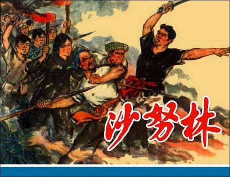 《沙努林》越南人民革命战争故事连环画