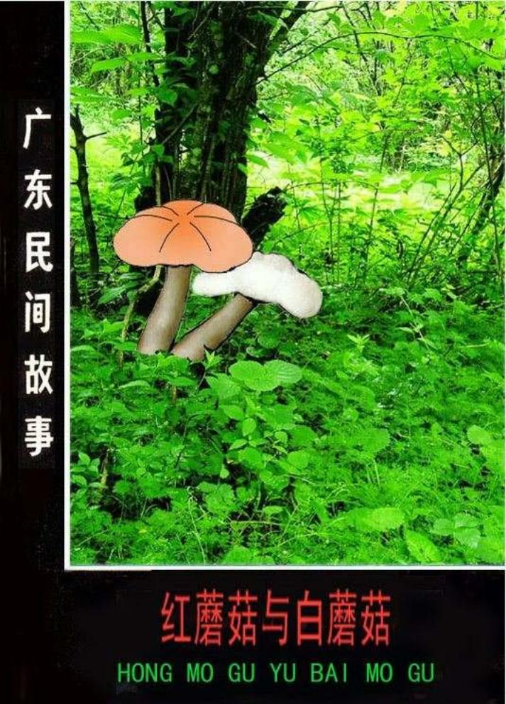 12红蘑茹与白蘑茹