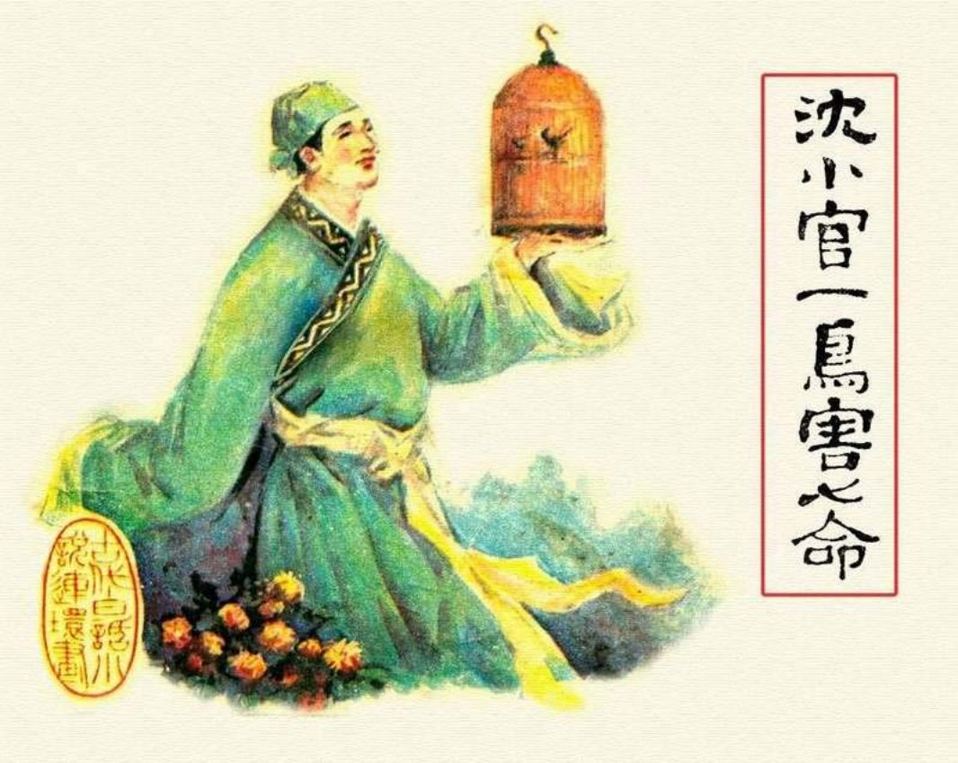 05沈小官一鸟害七命