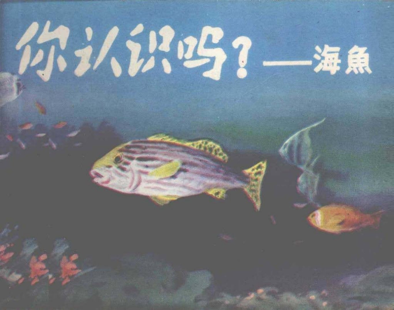 彩色经典《你认识吗？-海鱼》海洋出版社