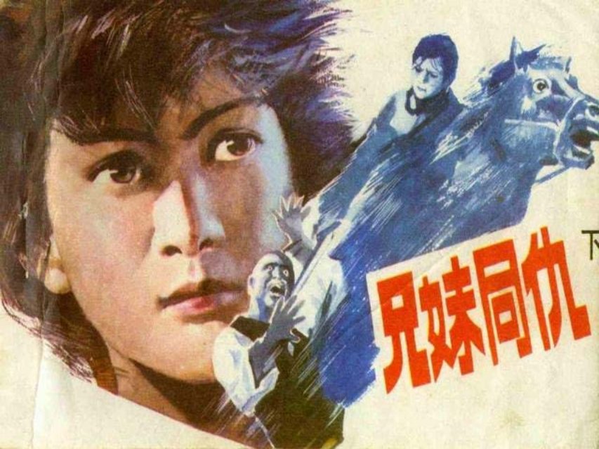 《兄妹同仇》下册 张伟健 真侣