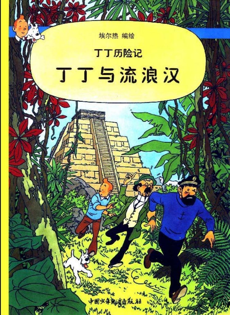 丁丁历险记之二十二《丁丁与流浪汉》