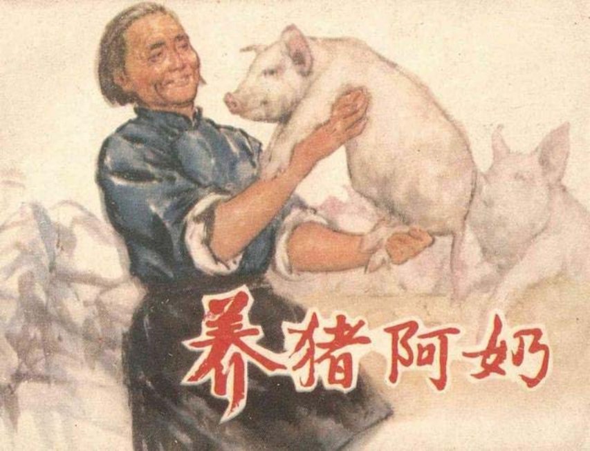 养猪阿奶