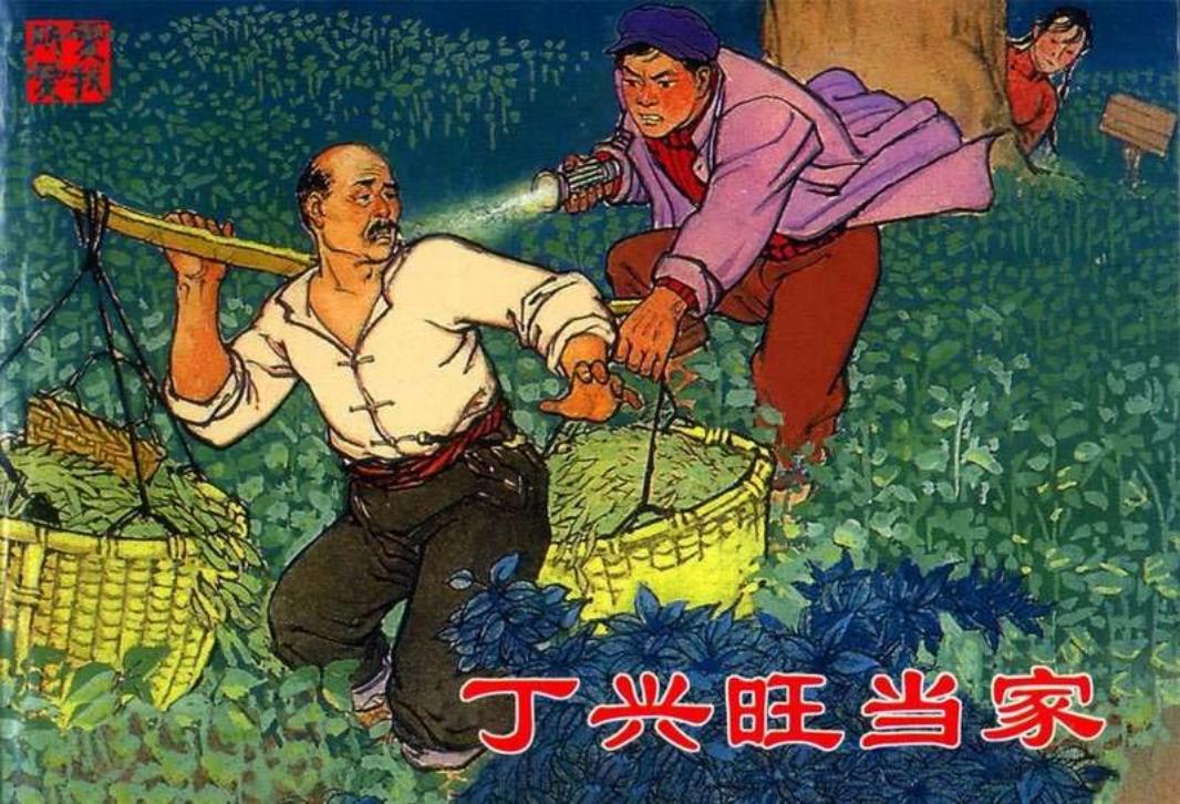 丁兴旺当家 徐进
