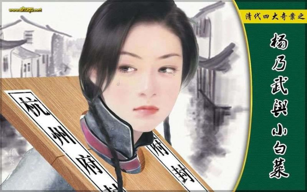 清代四大奇案之杨乃武与小白菜 孙大钧