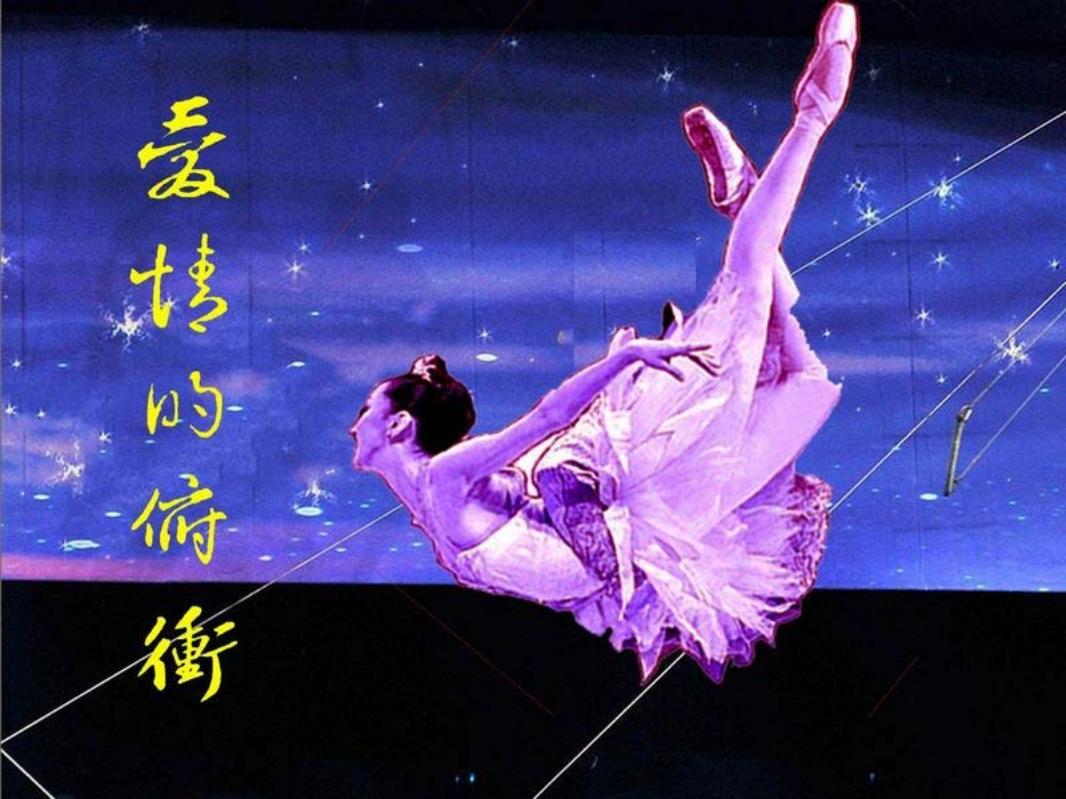 爱情的俯冲