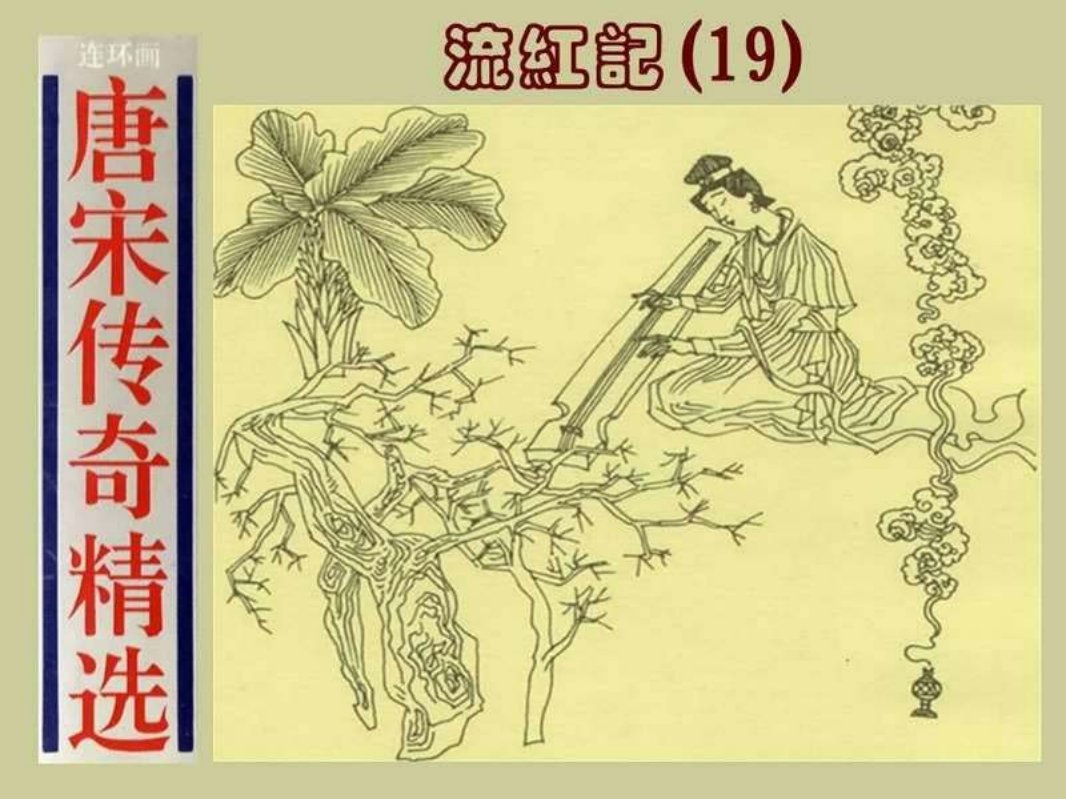 19流红记