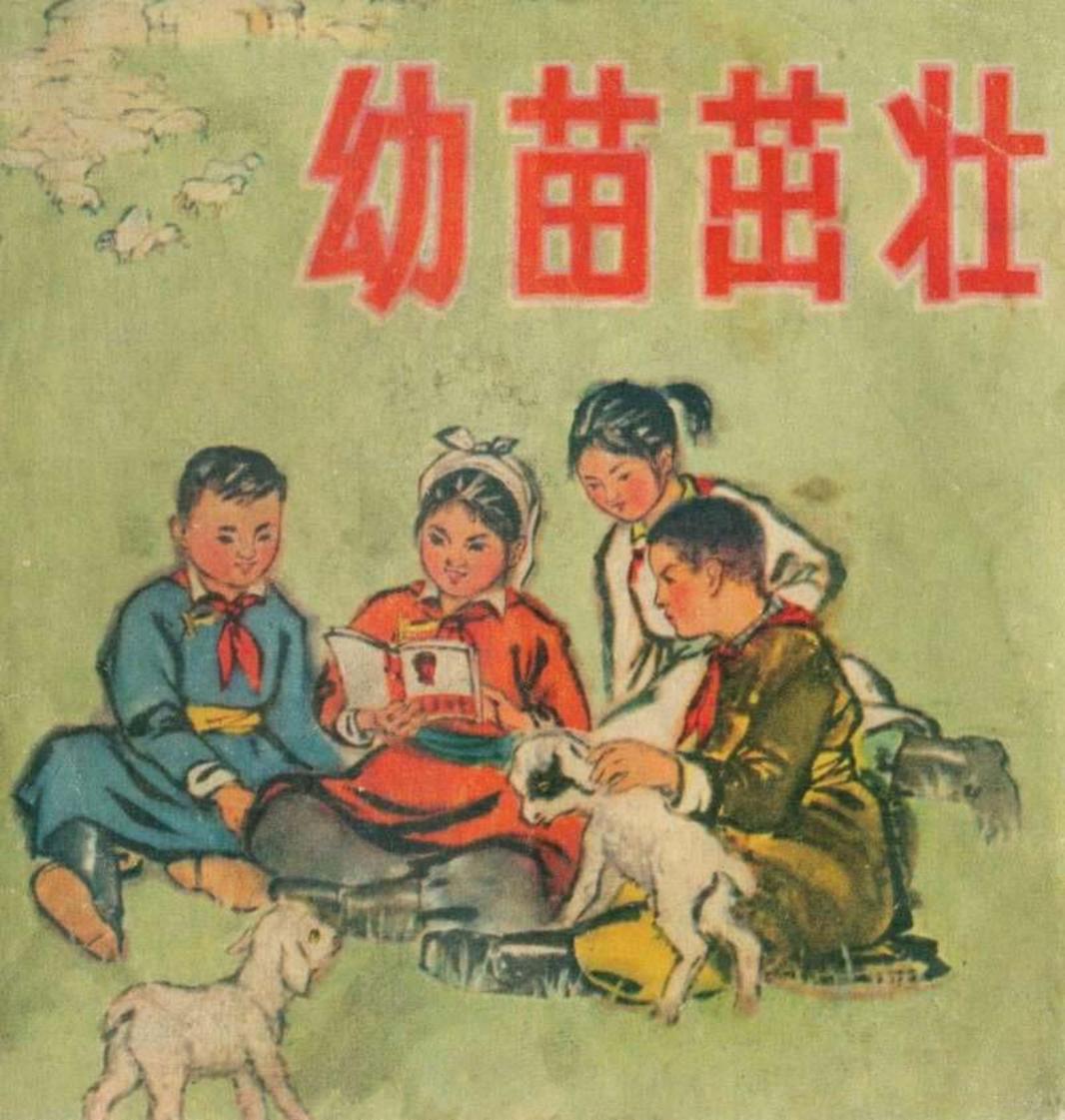 幼苗茁壮