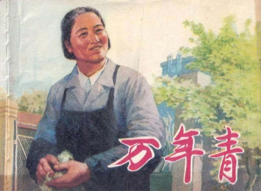 万年青 《老门卫》《友谊手》《万年青》