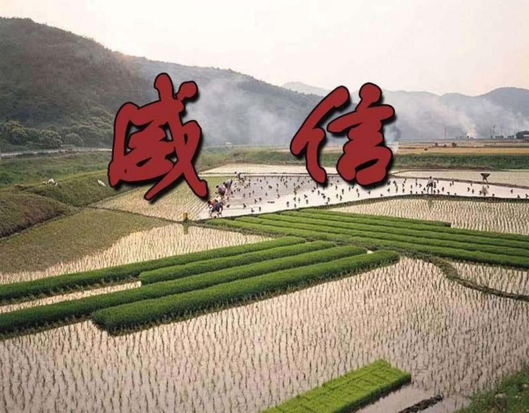 威信 贾平凹 吕敬人