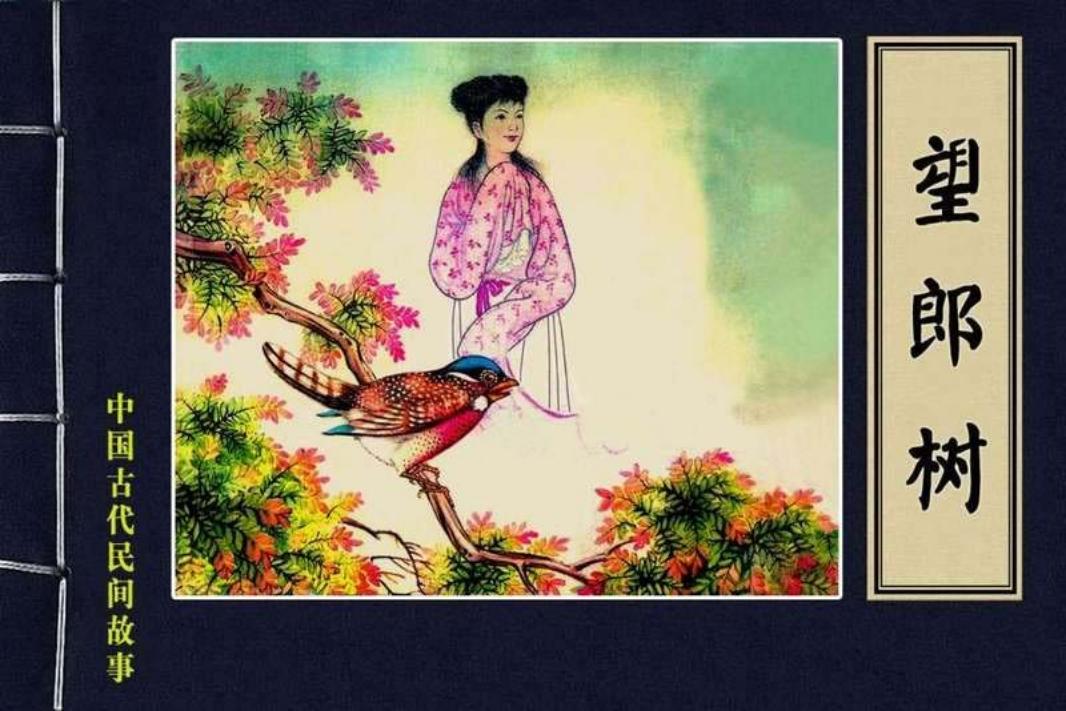18望郎树