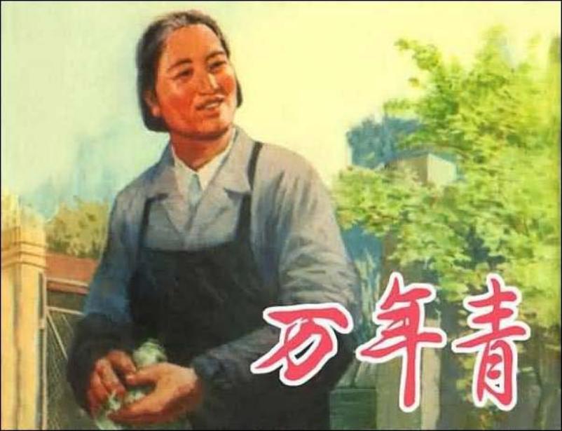 《万年青》老门卫