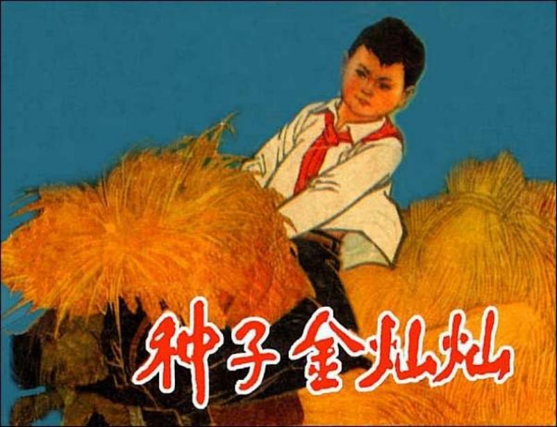 《种子金灿灿》邓二龙 翁文忠