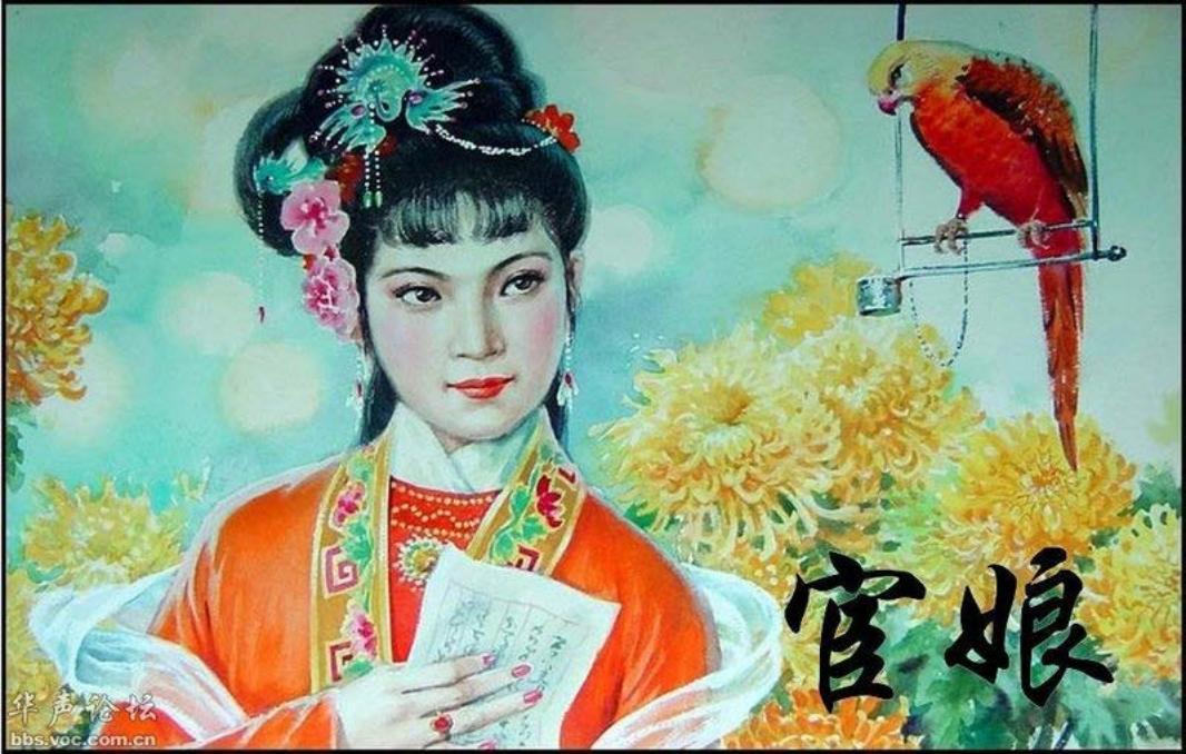 宦娘