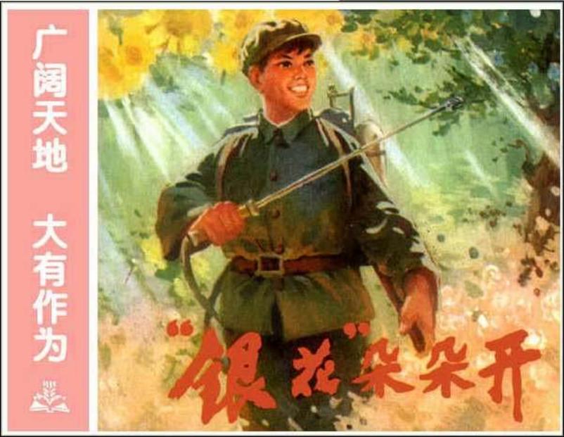 《广阔天地大有作为》之《银花朵朵开》
