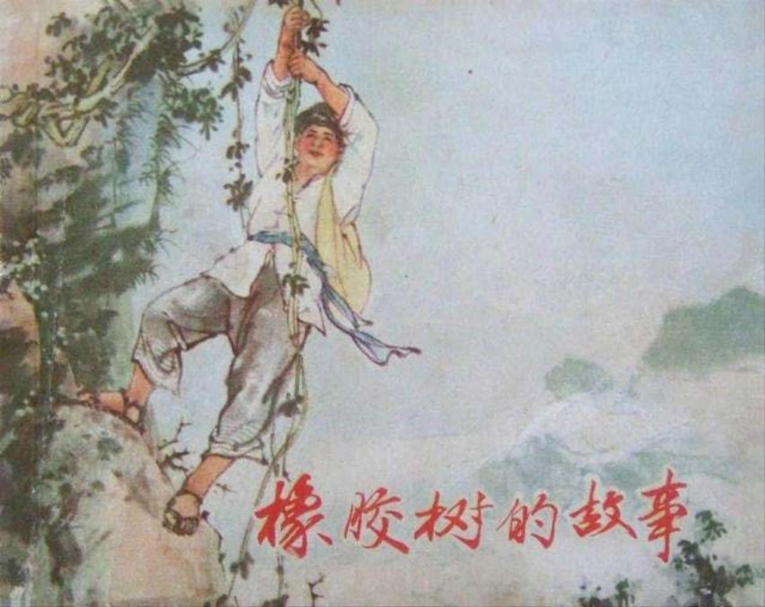《橡胶树的故事》