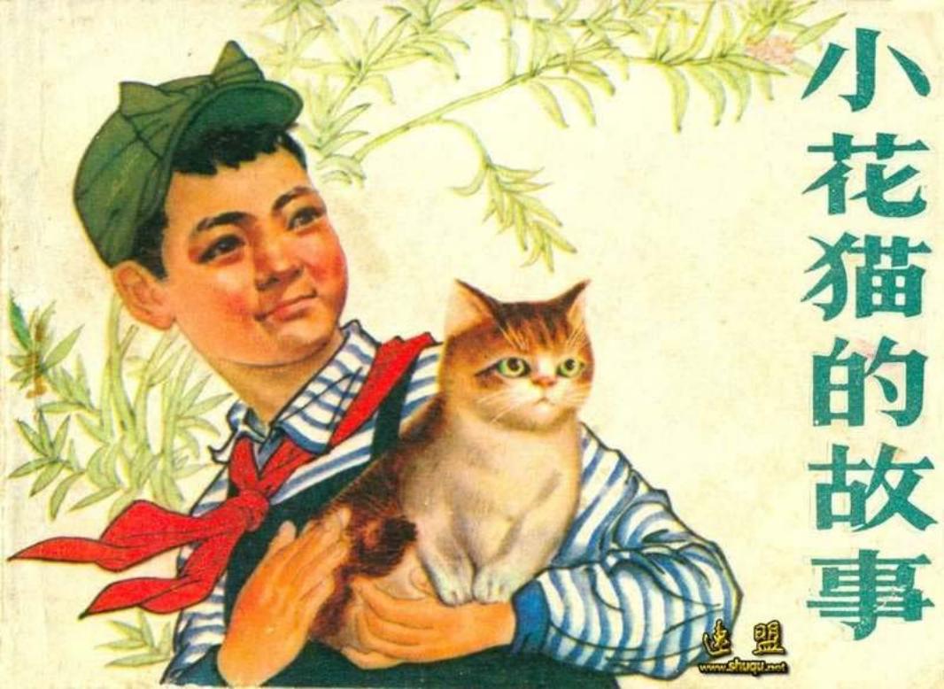 小花猫的故事