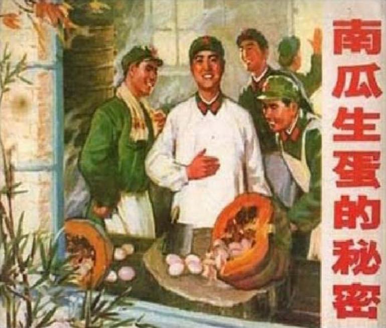 《南瓜生蛋的秘密》