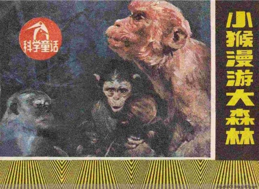 《小猴漫游大森林