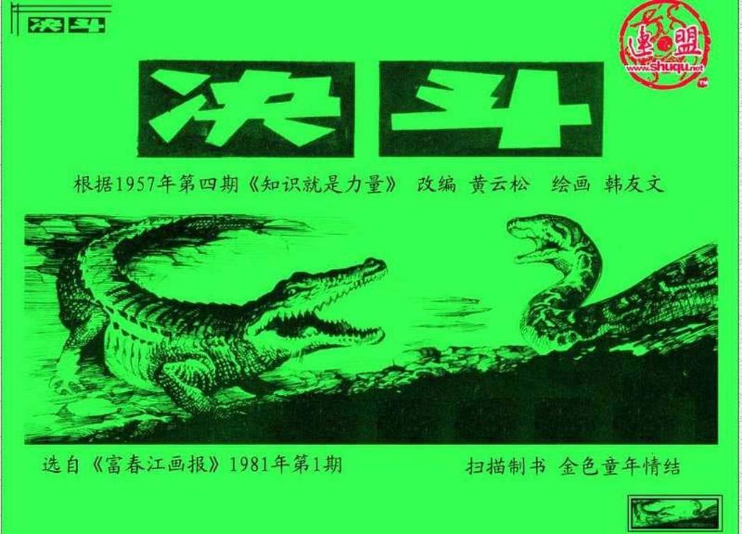 决斗（黑白）