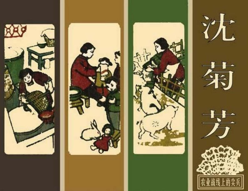 《农业战线上的尖兵-沈菊芳》