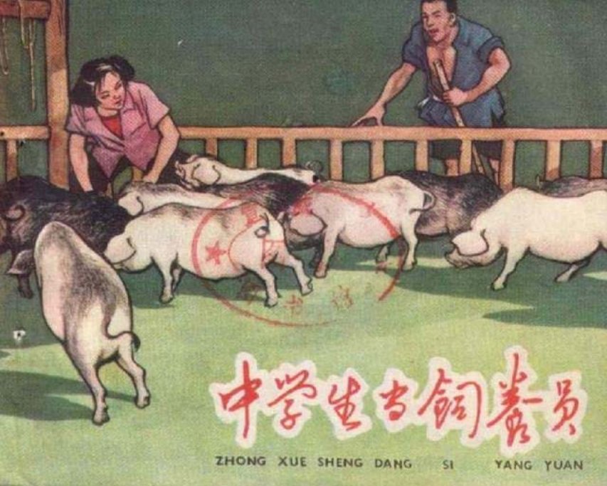 《中学生当饲养员》 1958年 5 月“中学生”杂志